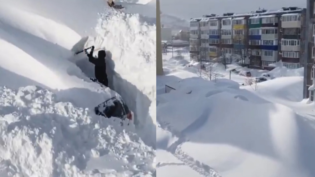 image 0b6b5271 1ed4 4eee b756 801653abff98.png