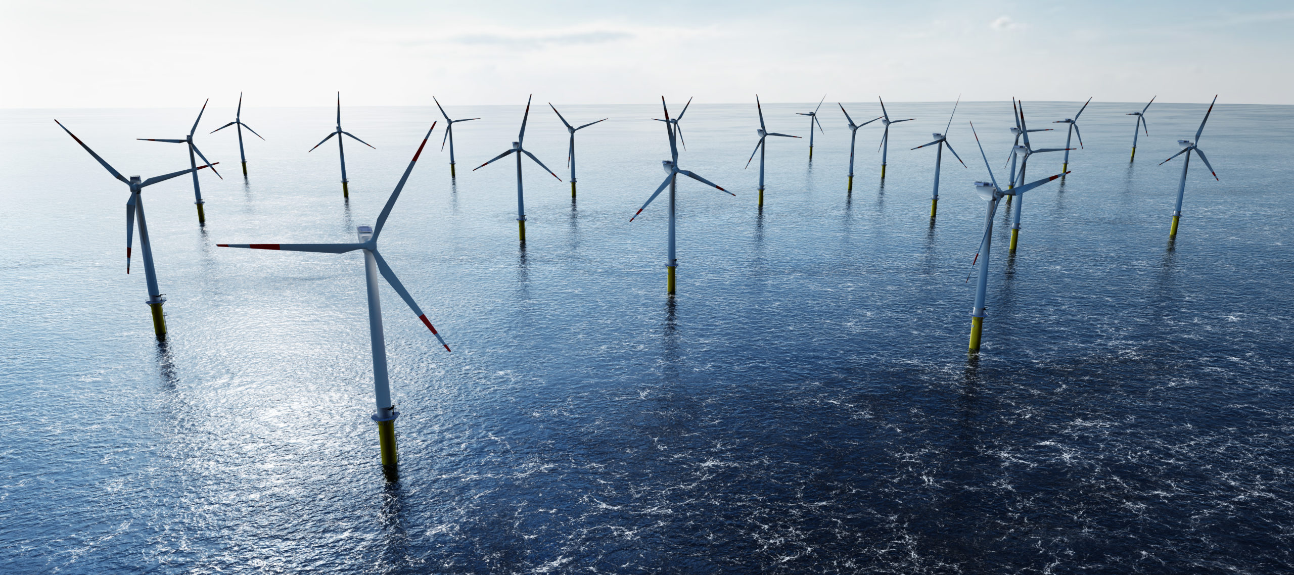 image 193267a5 a3ae 479c 8100 2c09d859482b.png