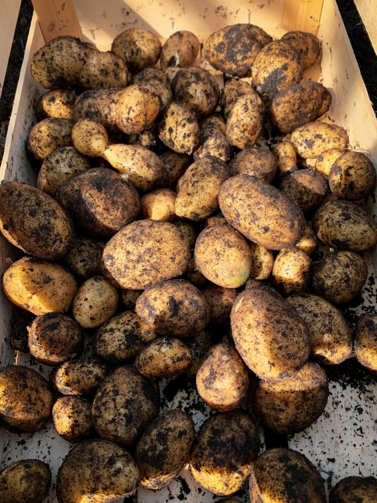 image 2eb38511 0f6a 443e 85bb 550442df401a.png