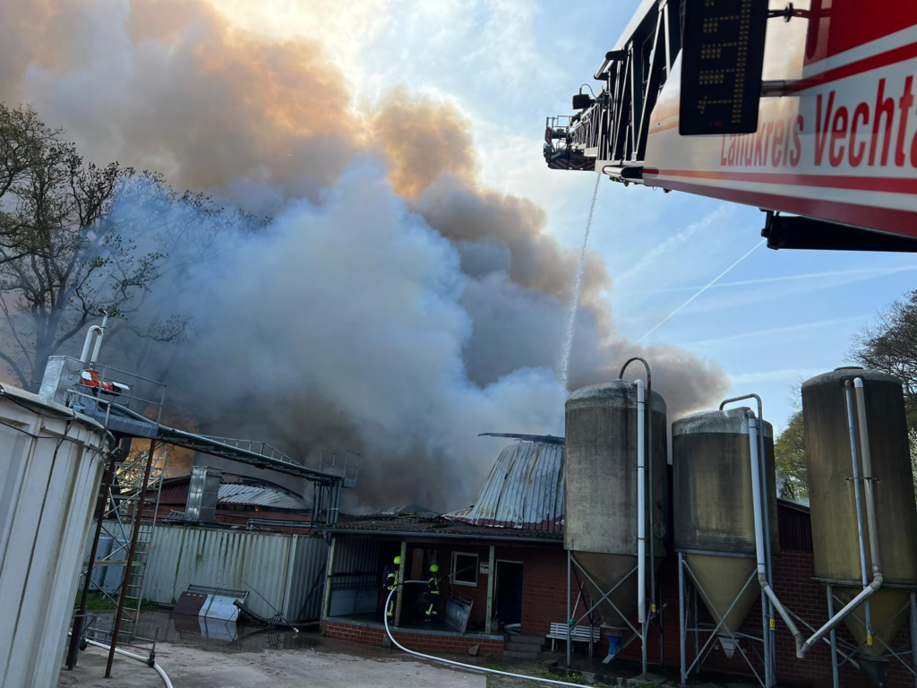 image 3b57f8e4 269c 4074 8dff 853ecfa6952d.png