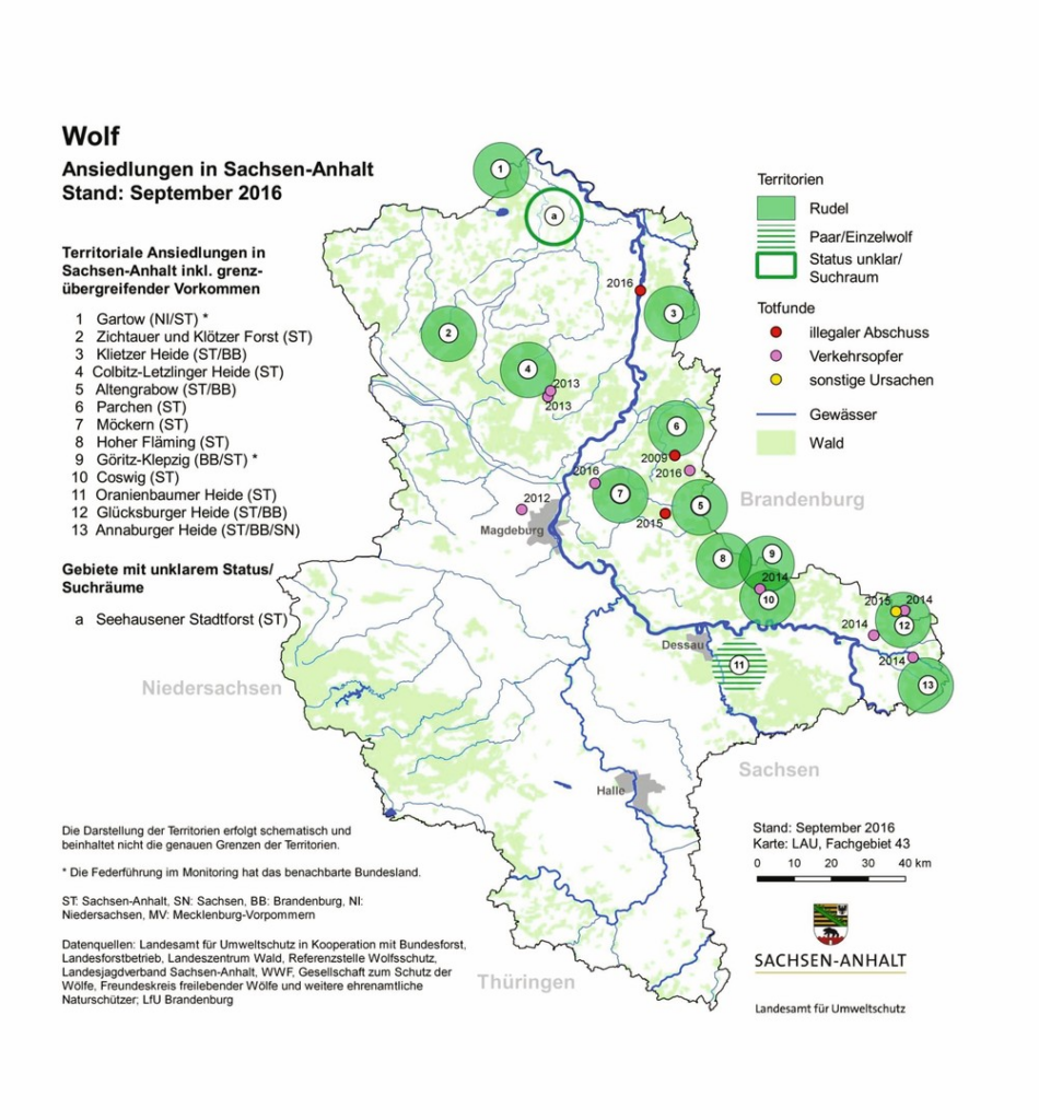 Wolfsschutz Sachsen-Anhalt: Wie das neue Jagdrecht die Situation verändert image 42a38247 be70 454f 9064 1a513b70d1bc.png