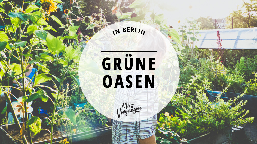 image 4a108d95 7982 46b8 97a2 2391b35ee378.png