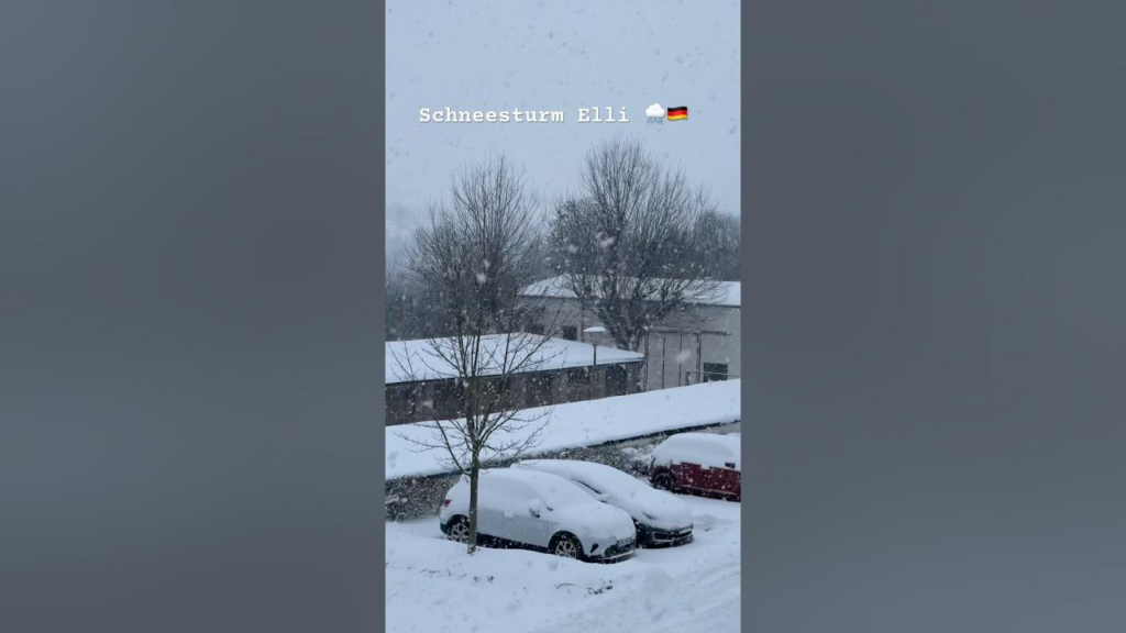 image 50643f0b f66e 46da 8a9d fbff7badf8e6.png