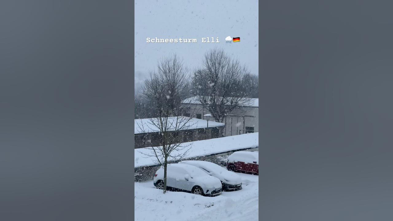 image 50643f0b f66e 46da 8a9d fbff7badf8e6.png