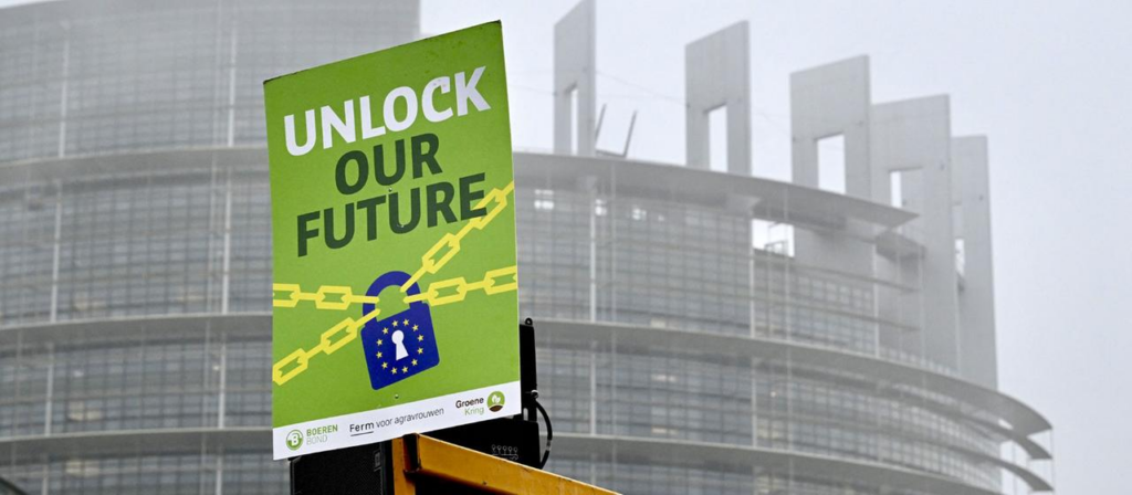 image 54a78668 40ba 4185 af5e 5f3f6ba90fad.png