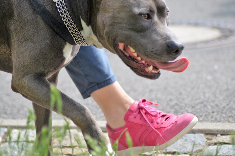 image 6443a952 5703 40e6 bac5 7c40acee723d.png