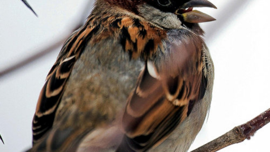 image 65022f45 6670 432b b136 1b3100ae06b8.png