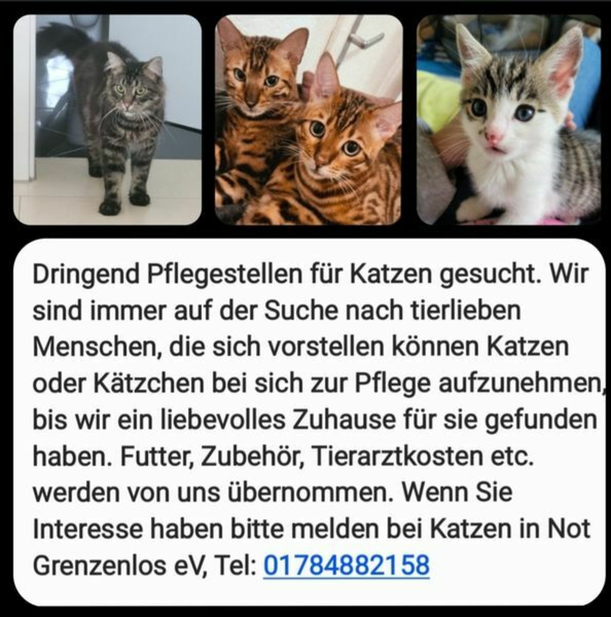 image 6737e720 5702 4799 a18c 692ad788c30f.png