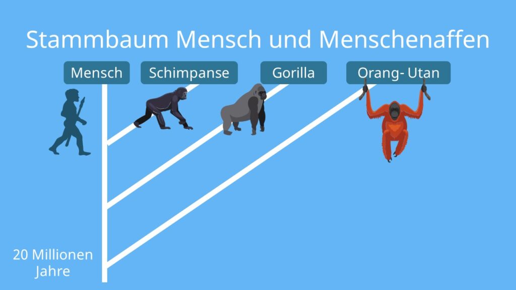 image 82649aa8 9c04 47b5 9a3b b48d2188d0d4.png