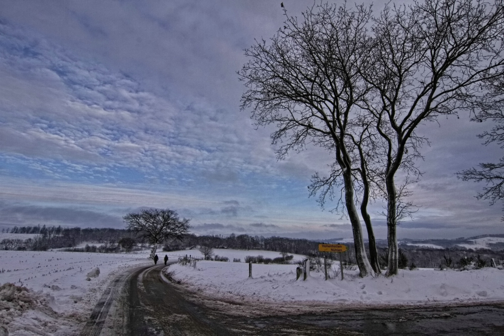 Neuschnee in Erlangen: Ein Blick auf den Ausnahmezustand und seine Folgen image 8af774ec 21e7 4e70 9c0e 4038b7b5d13c.png