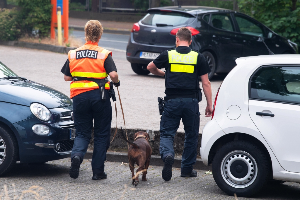 image 9b18a4af 41ca 4c78 ad4e 8980f9f25ae4.png