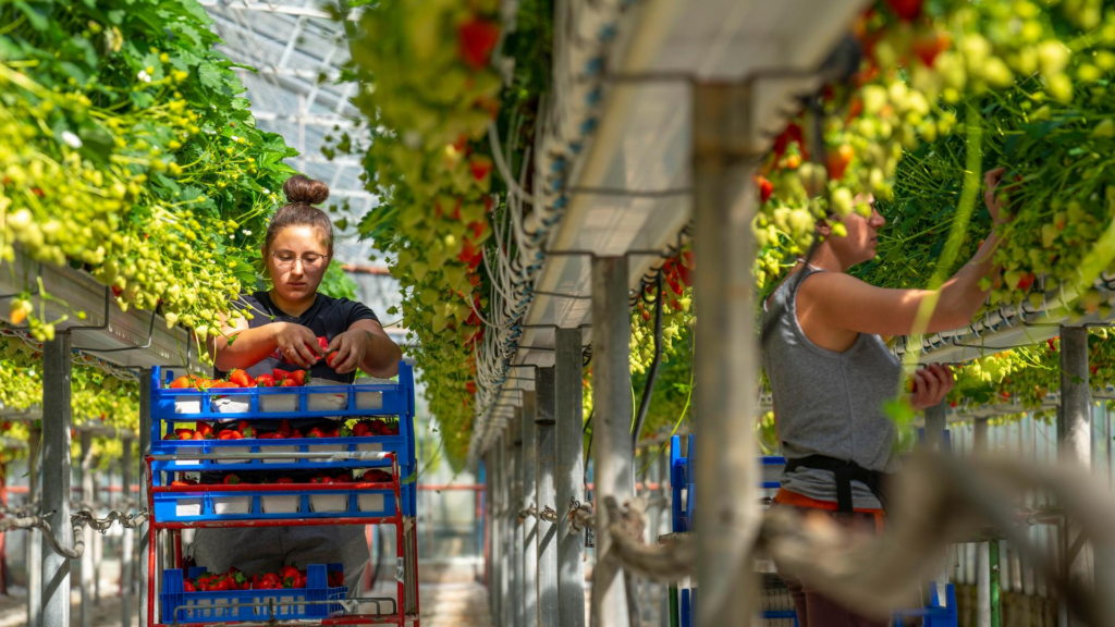 image c49ac7f3 3527 4f15 8e81 74bd559d5680.png