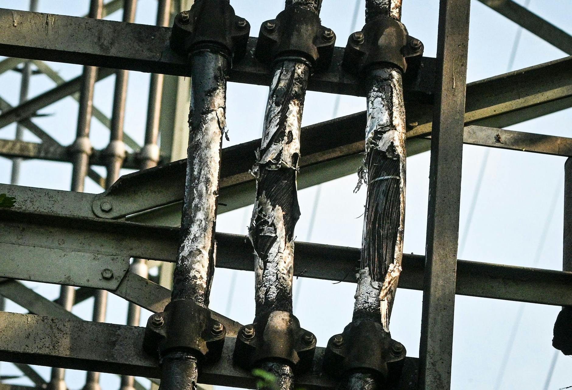 image c6cfac72 2159 488d abd6 9d5de8e57831.png
