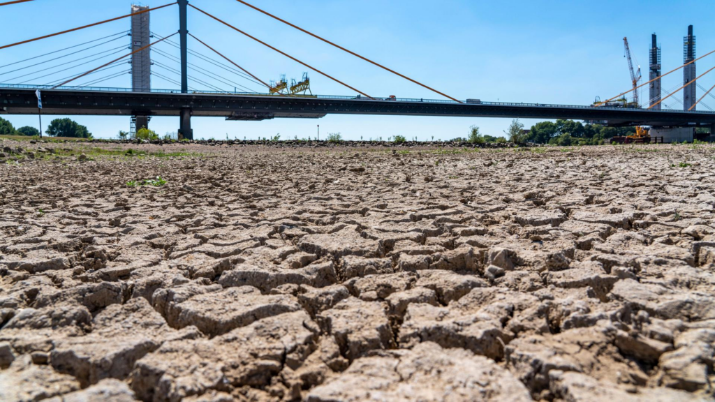 image d8901bec a1db 410c a800 396fabd0fdd4.png