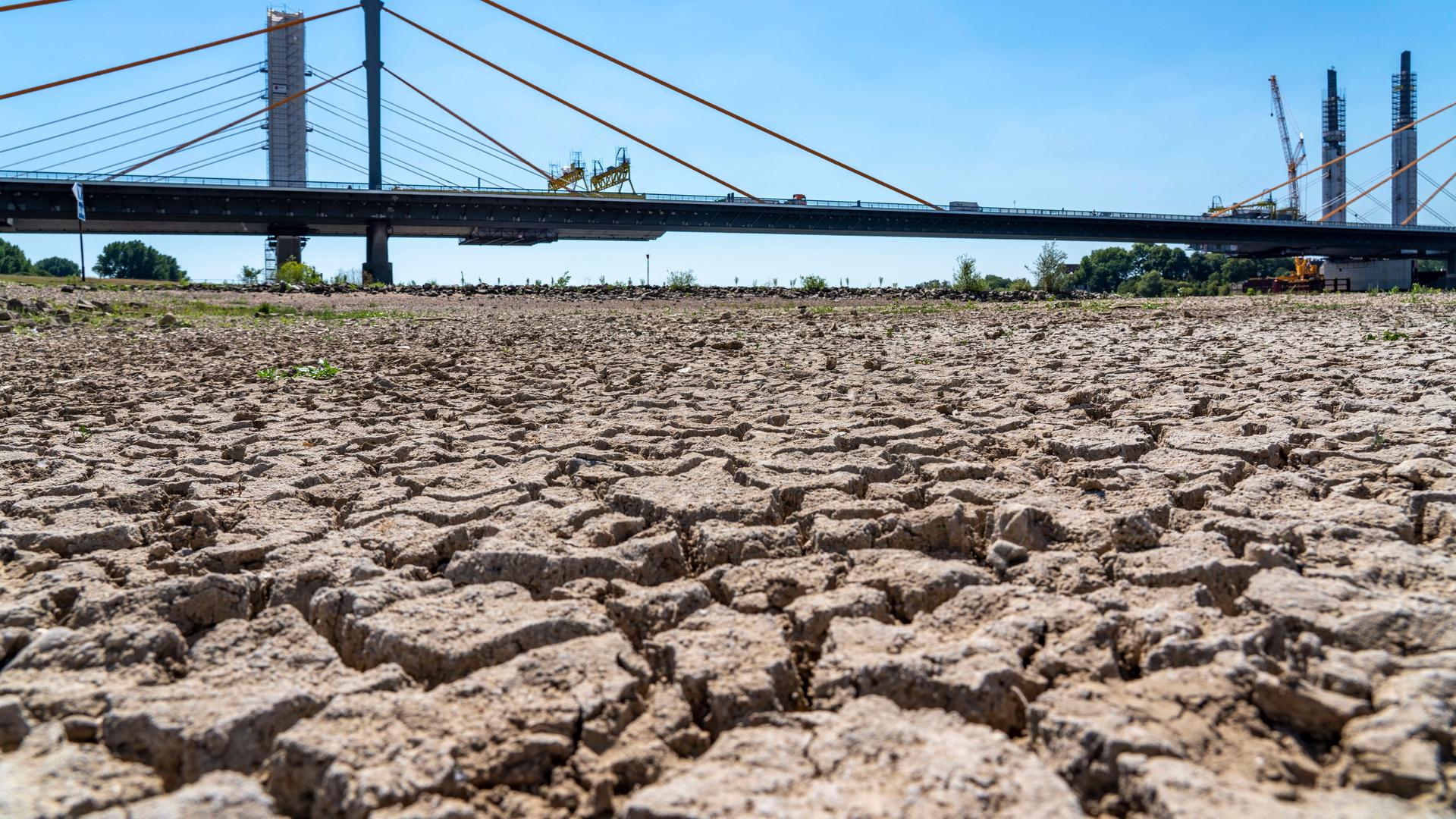 image d8901bec a1db 410c a800 396fabd0fdd4.png