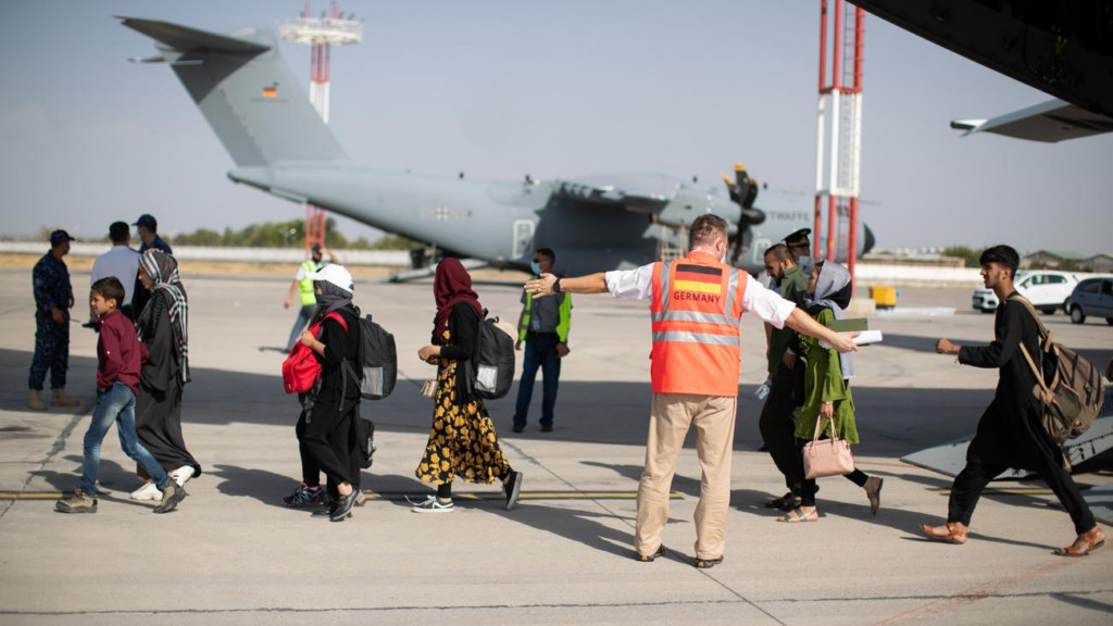 image de6b5446 467e 46e0 91a2 47e5e07e99ed.png