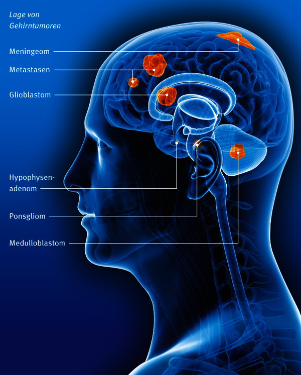 image e37e5e03 6034 4f4a b4c0 5b92de138b4c.png