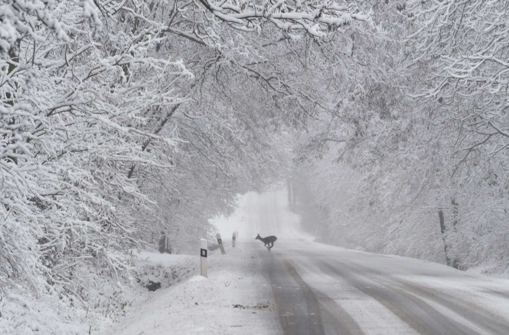 Winterwetter: So beeinflusst Schnee und Eis den Verkehr in Deutschland image f3f91ffb 2431 4752 a6f1 be393dac49f7.png