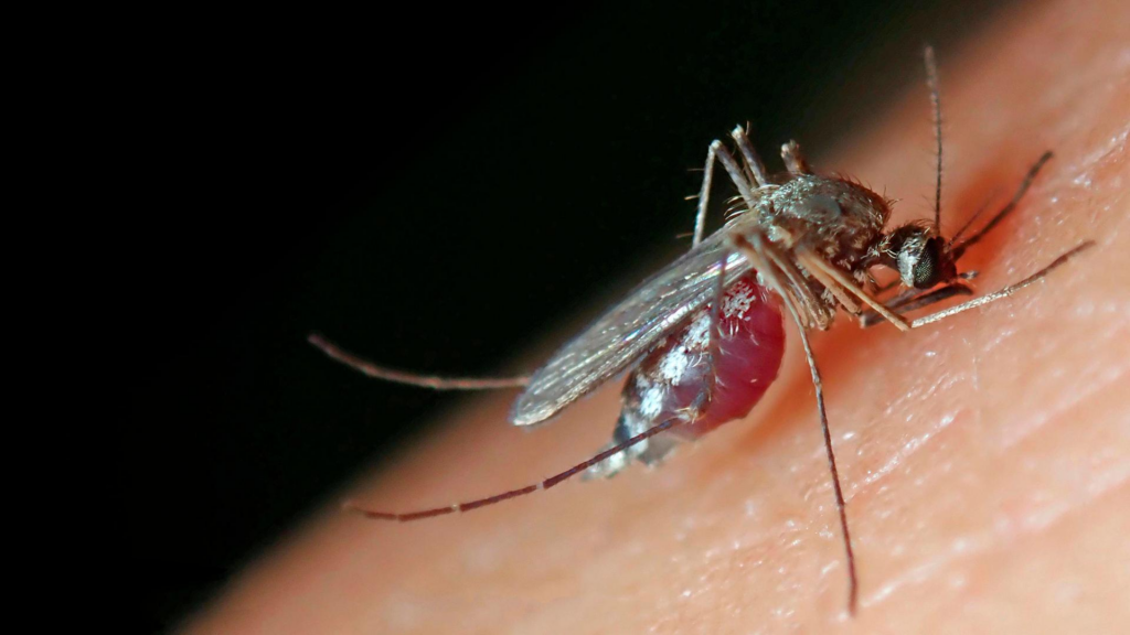 image f78aa233 f41d 4377 a50f 6515c2c6e917.png