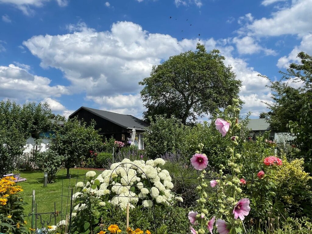 Berlin Grünflächen: Die besten Parks für Erholung und Spaß kleingarten gerickeshof.jpg