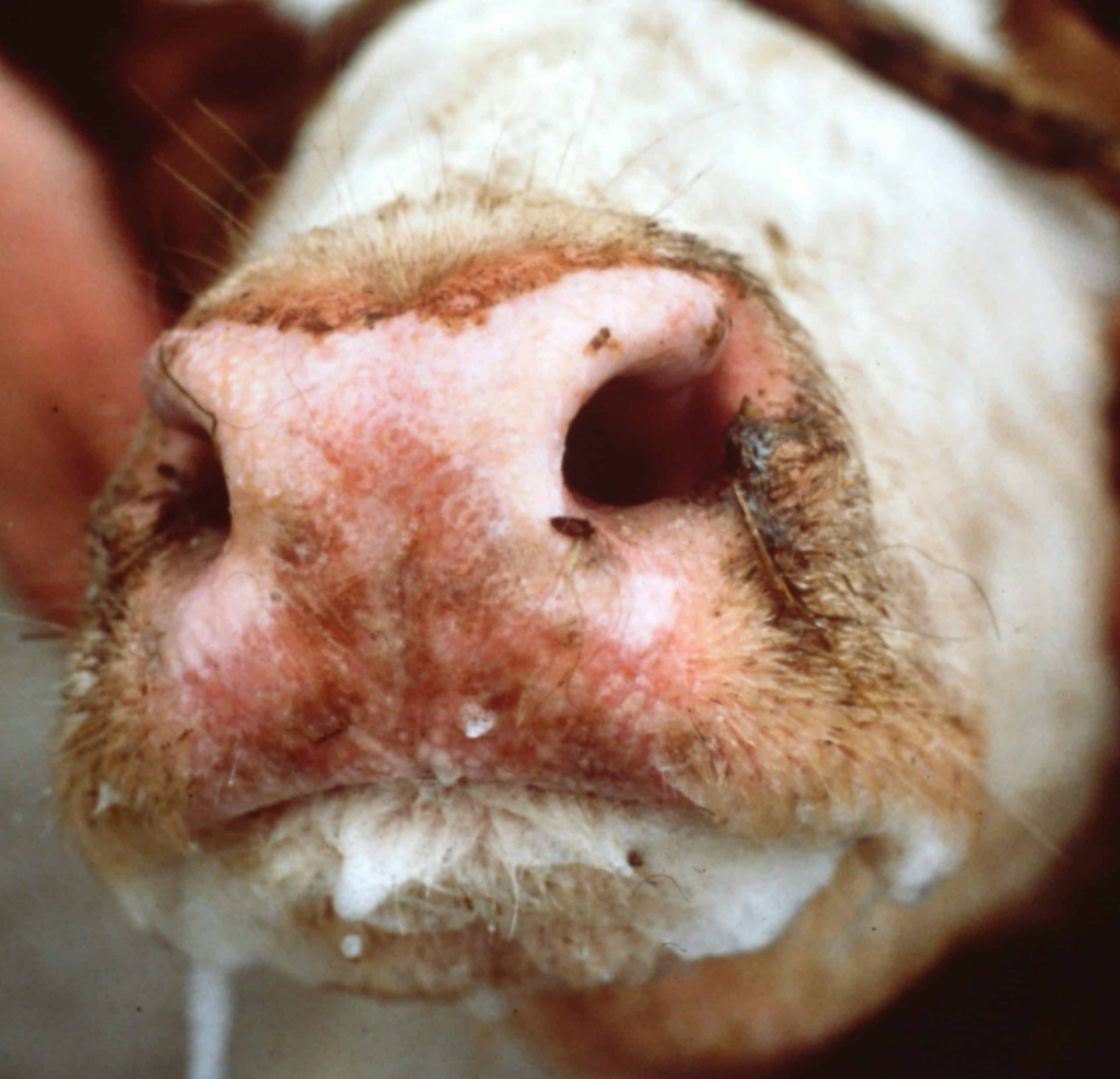 image 054ade14 eddb 4859 9a1b ce89e4787c04.png