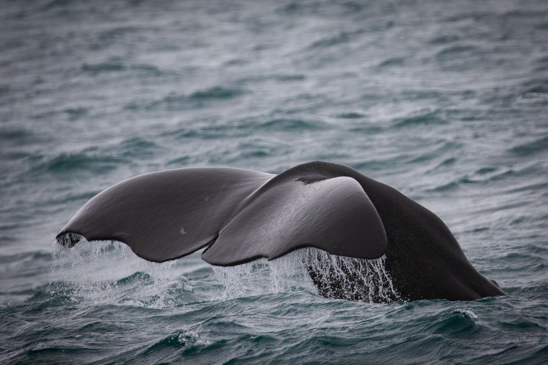 image 06b431d2 0cc8 420b b9ea ba9185aaf705.png