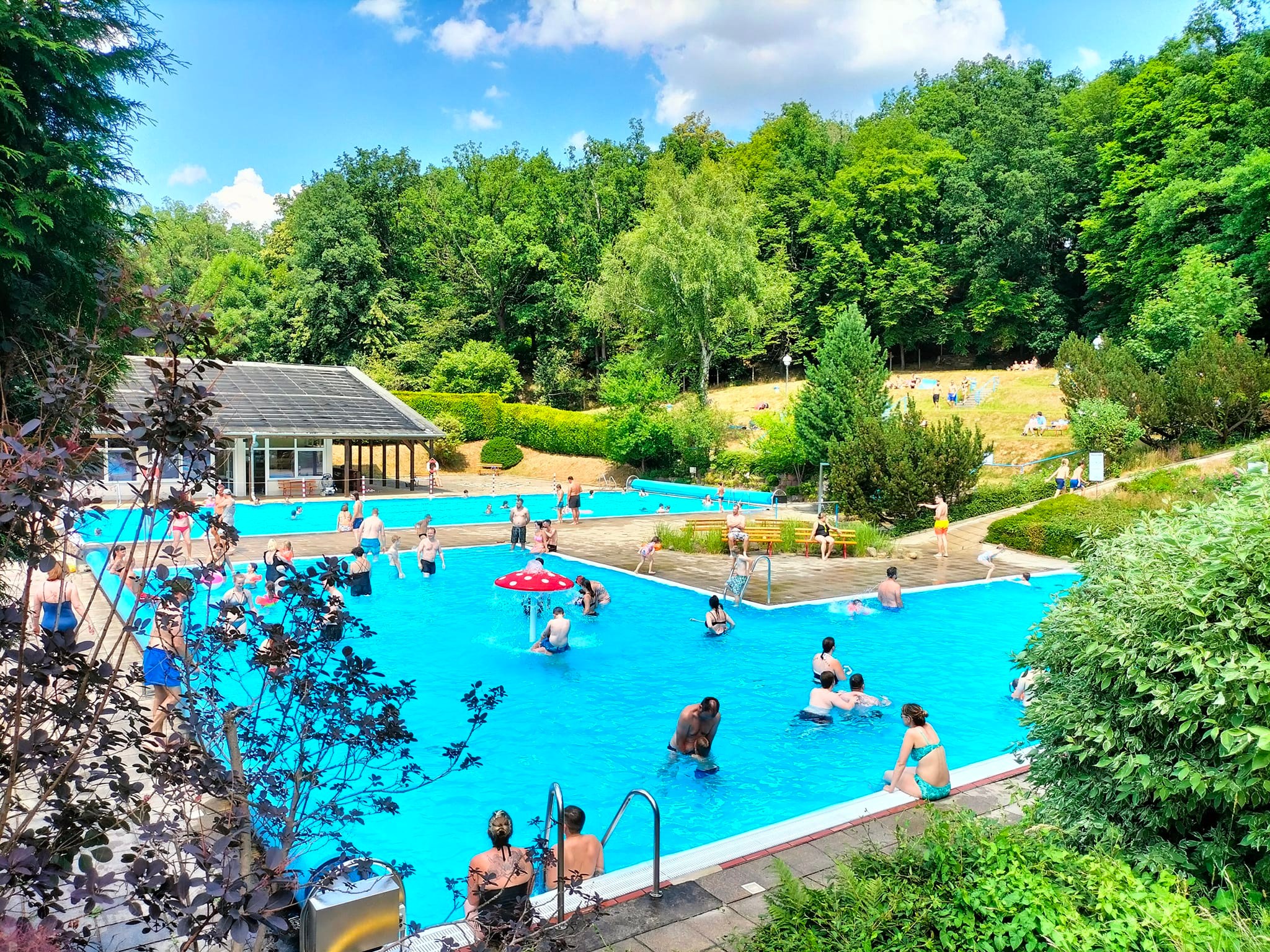 image 15e331c8 7da9 43be 9492 3561e72d9064.png