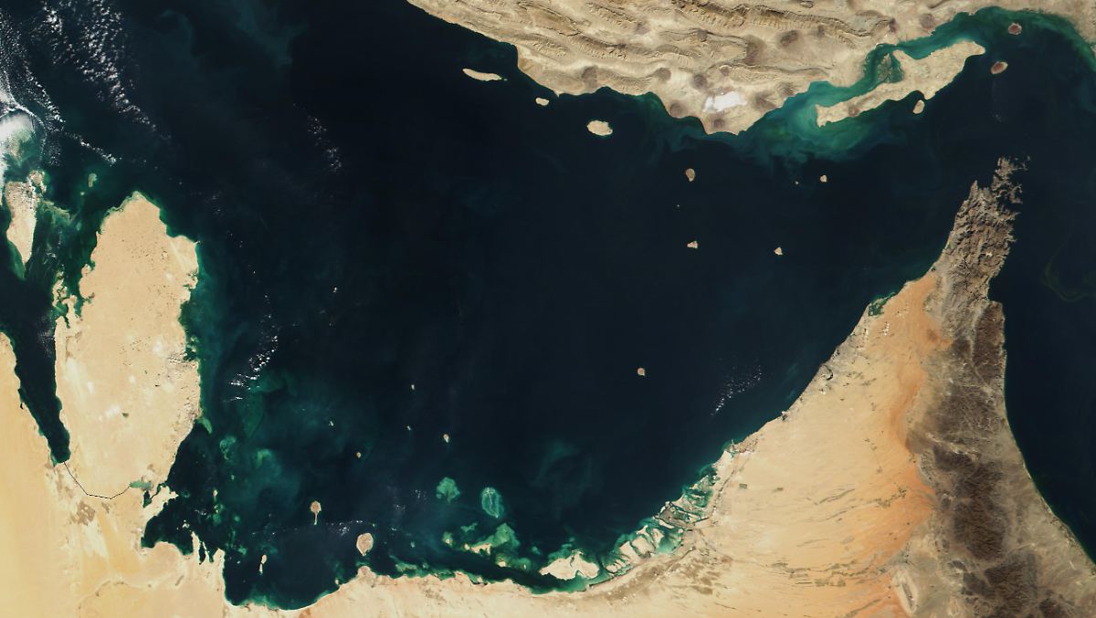 image 19a27952 98ad 4b63 8655 f8c7951cc787.png