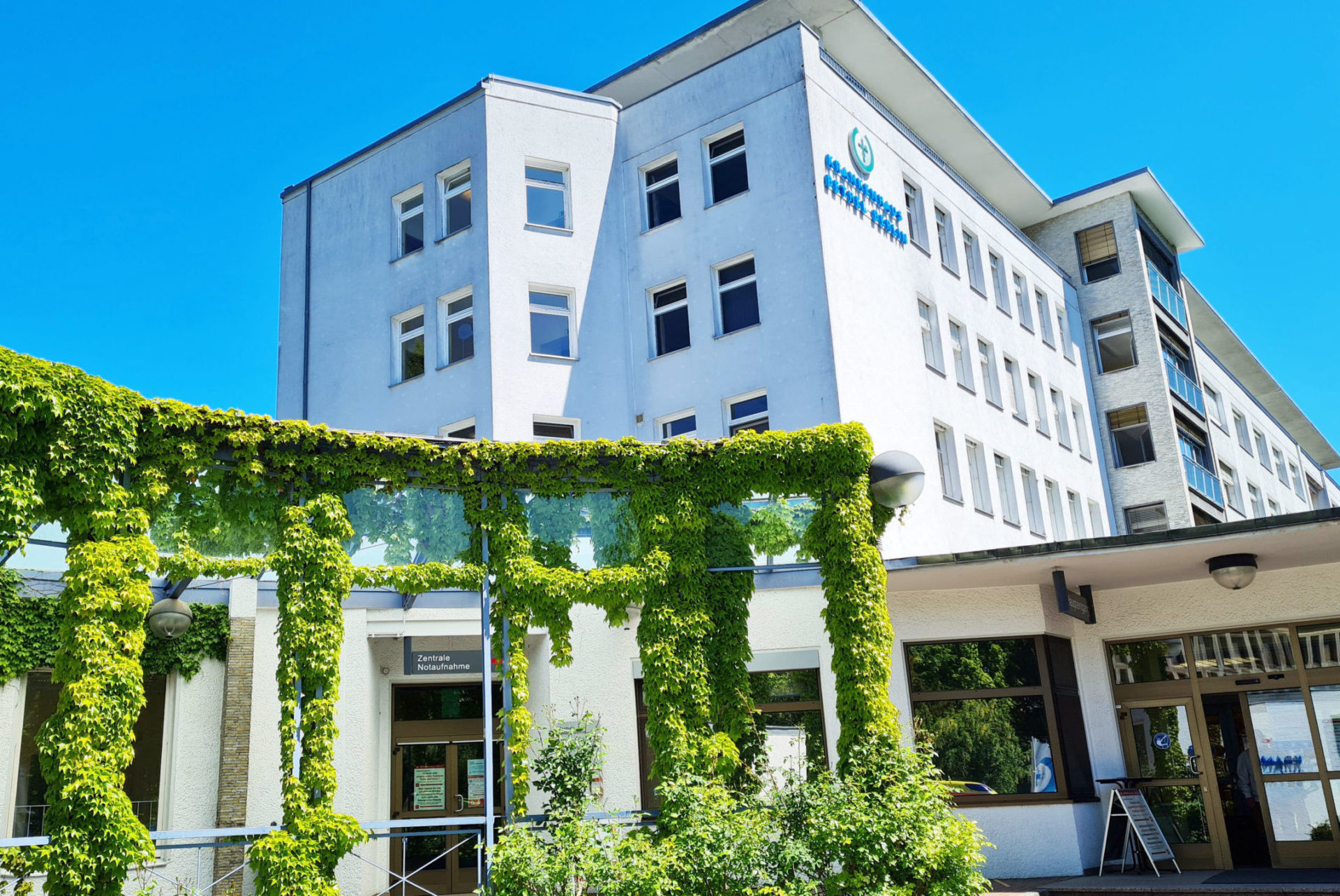 image 26a73b4e 53e9 4120 8f65 c639bab0e2f2.png