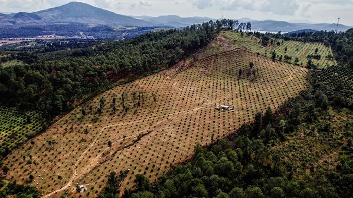 image 2846208e 8c21 4d41 91a9 bfd155479882.png