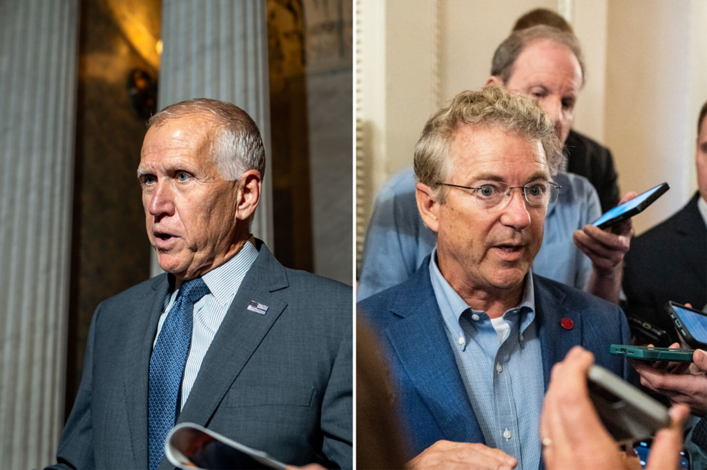 image 53338bd6 025a 403f 8e83 ed98c5c6327d.png