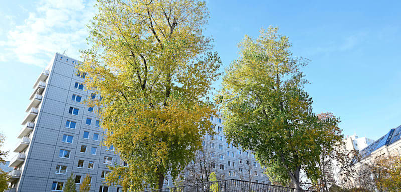 Home image 543c9a88 e8c5 4713 ae6e f575cf6f9bf2.png