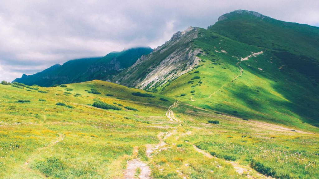 image 566cb41d 0fc8 4944 bdb1 ea88b79173b9.png