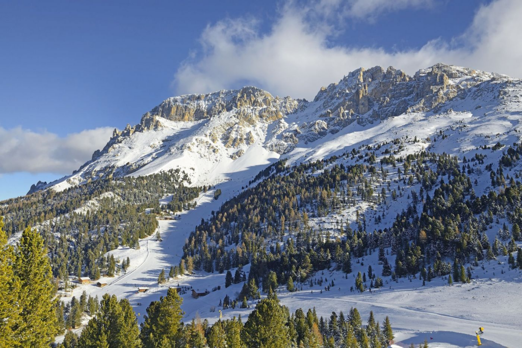 image 5aaa1242 87db 41c4 93cd dc60db2d313e.png