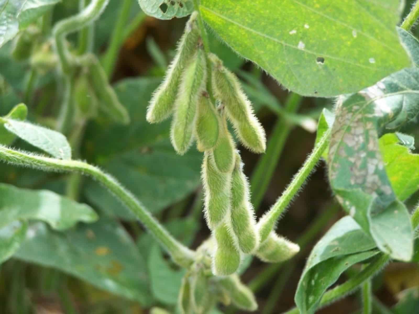 Home image 5f2f2089 998b 4179 a7e7 8744024a7555.png