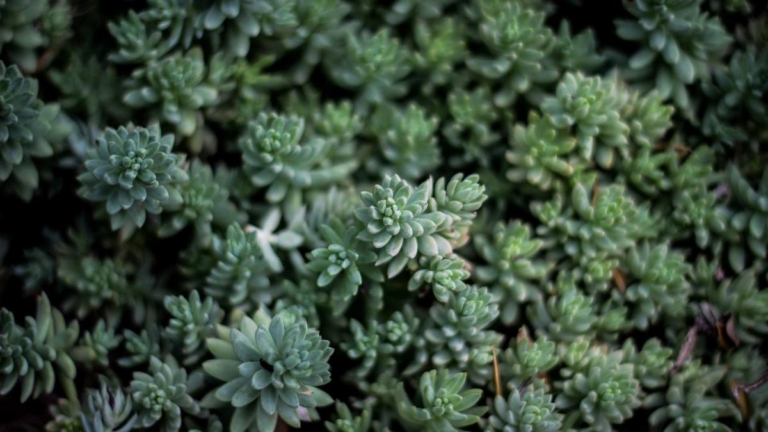 Alican Uludag Festnahme: Was die Journalistenunion von Deutschland fordert image 869a34df a0f3 4238 9cee fcc9c503d4ca.png