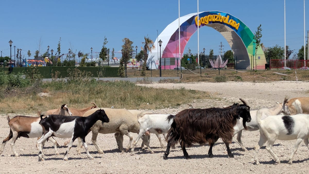 Home image 87c1ff17 d991 43d0 a96f 83b6e8769a3c.png