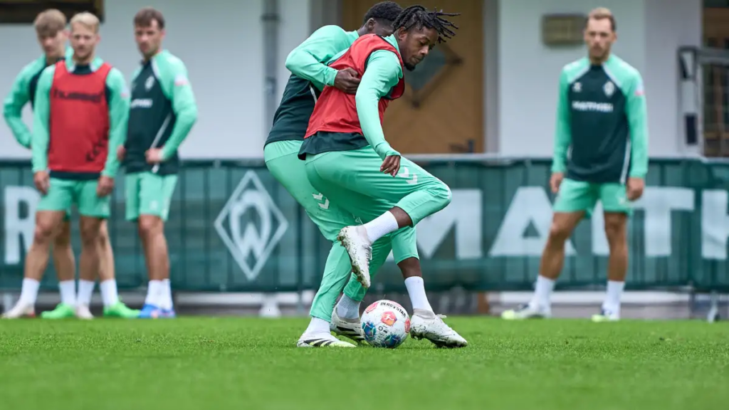 image 9d5630d0 6ece 49e8 83d7 d9d2c07ac672.png