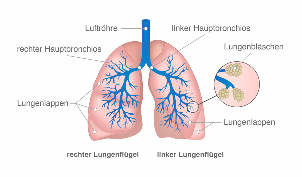 image 9fd10c06 d5a4 4480 81e5 569abe51ab9a.png