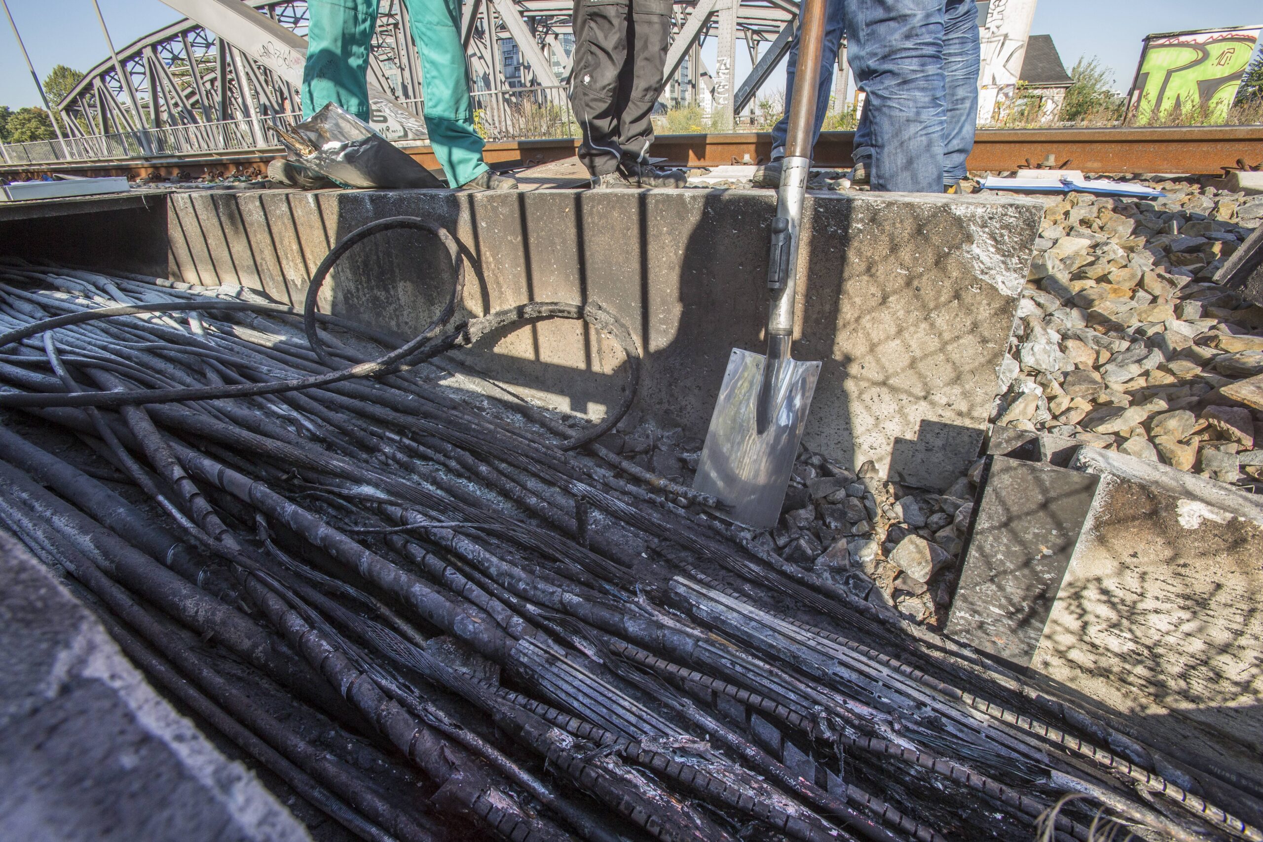 image b65e1774 637b 400b 8bb1 569ab9c647d7.png