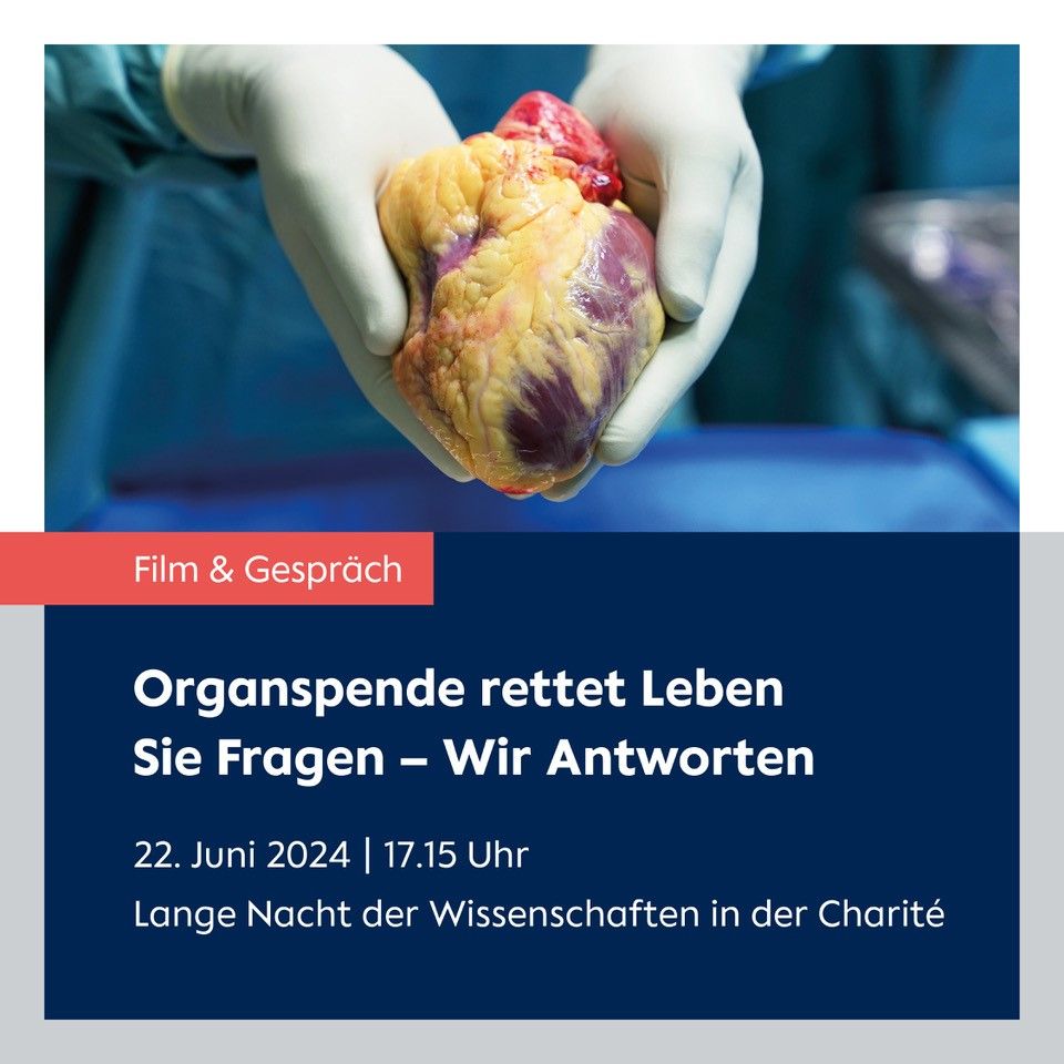 image bdf8241a 0644 483e 9e99 6ff09185f92e.png