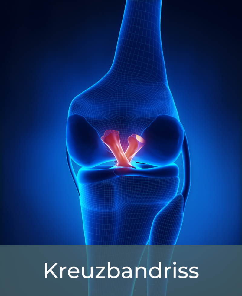 image c78e4a7f 6165 44a9 b010 86cafac87707.png