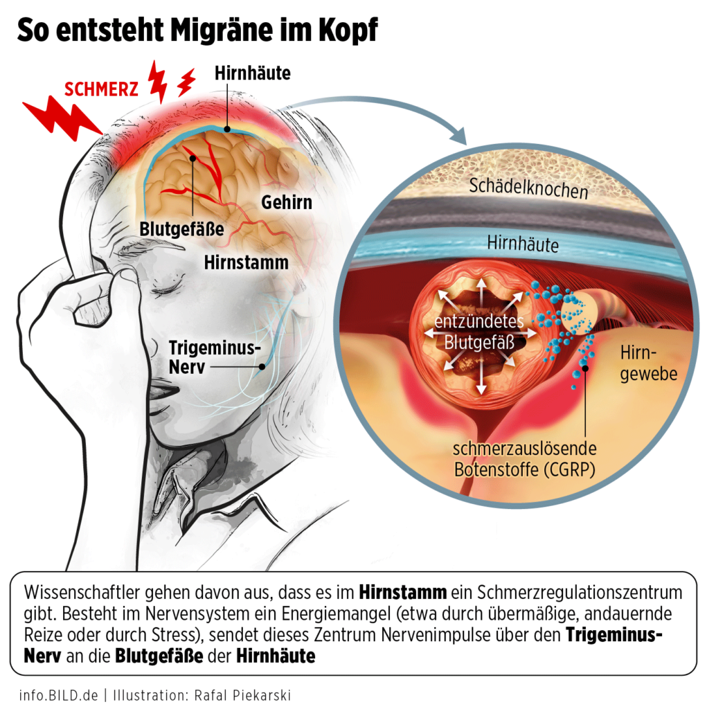 image de190f51 b075 418f 9425 399dbaa9a696.png