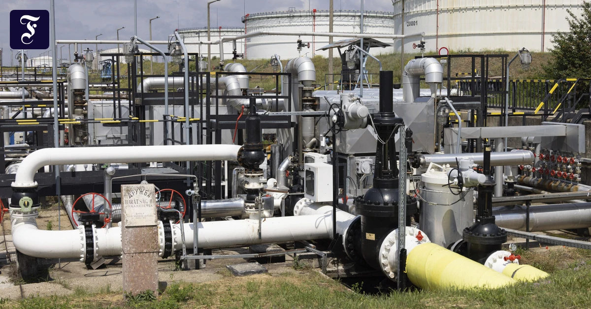 image e3996177 2c72 4306 9f85 55ab3d476340.png