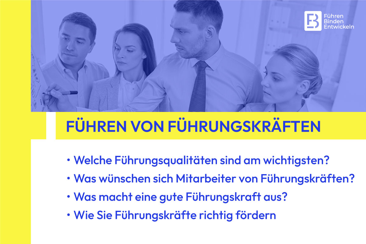 image e734b9f0 ee6c 422a 91cd 26a0819527f2.png