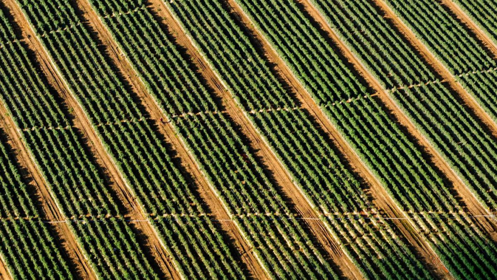 image ea1eba15 7122 49fd b18f df7ee59dca01.png