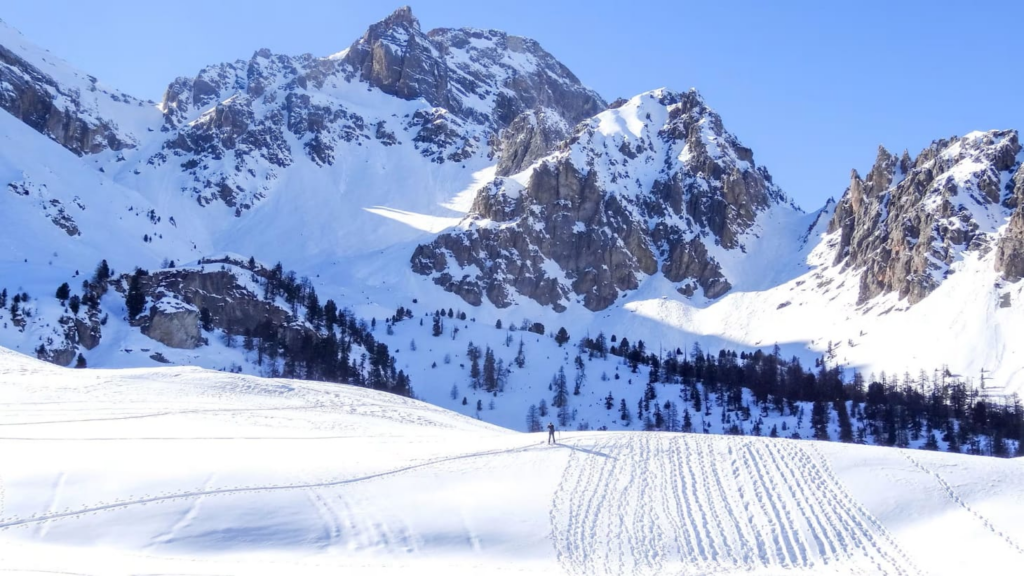 image f65997b4 678b 4054 acb8 5a32aa31b01b.png