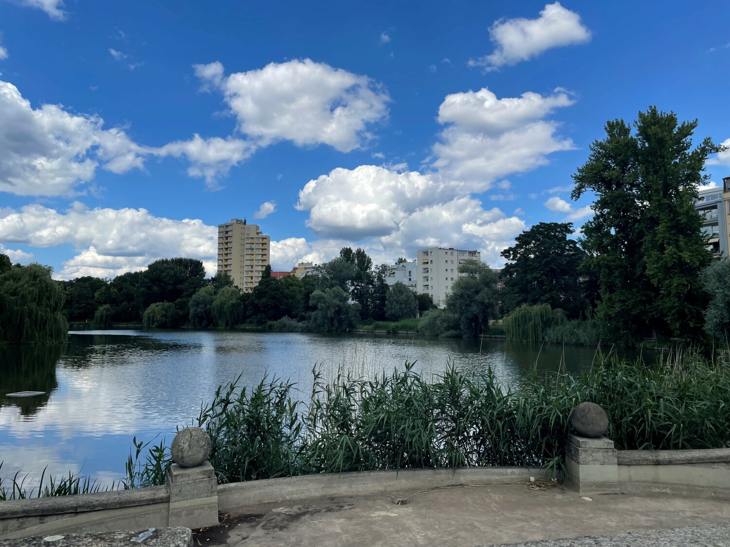 2022 07 lietzensee 2.jpg