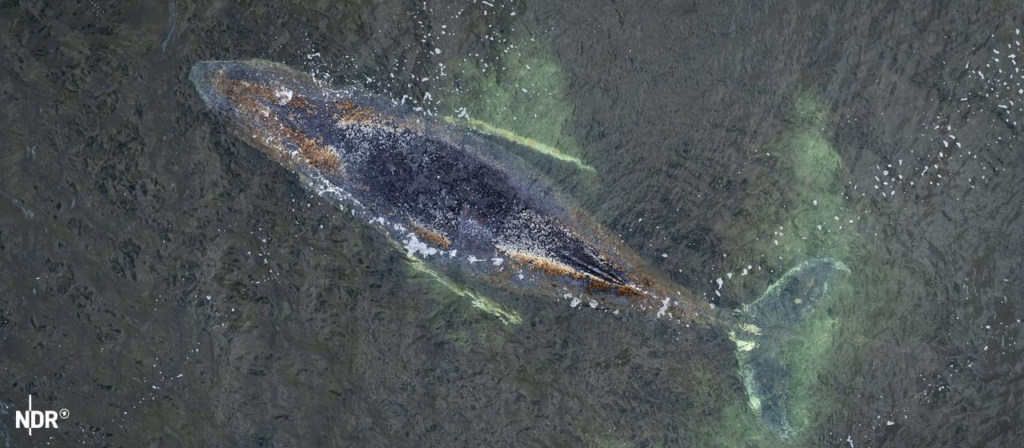 image 0902f111 b24b 434a 95be a4f89040228e.png