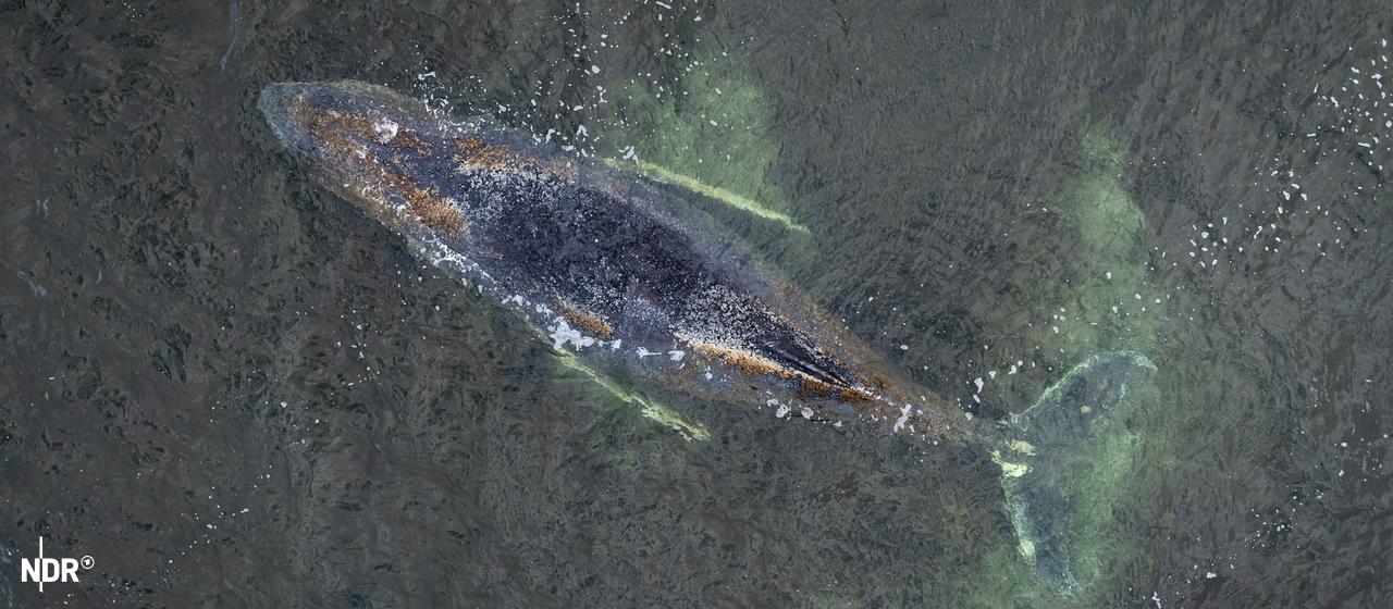 Home image 0902f111 b24b 434a 95be a4f89040228e.png